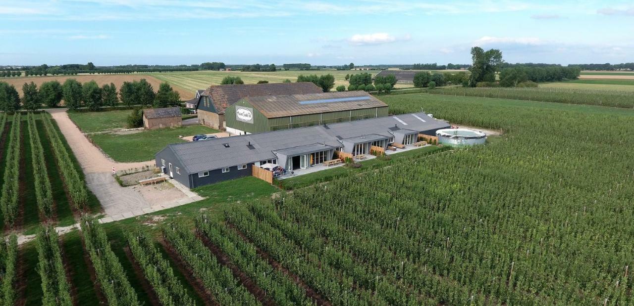Hoeve Oude Tol Zuidzande Eksteriør billede